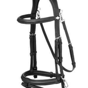 Bridle & Reins