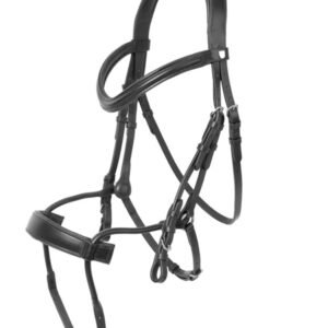 Bridle & Reins