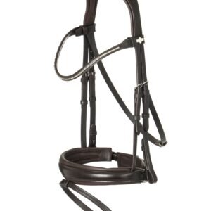 Bridle & Reins