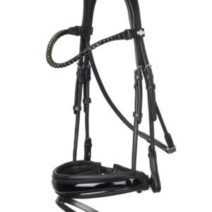 Bridle & Reins